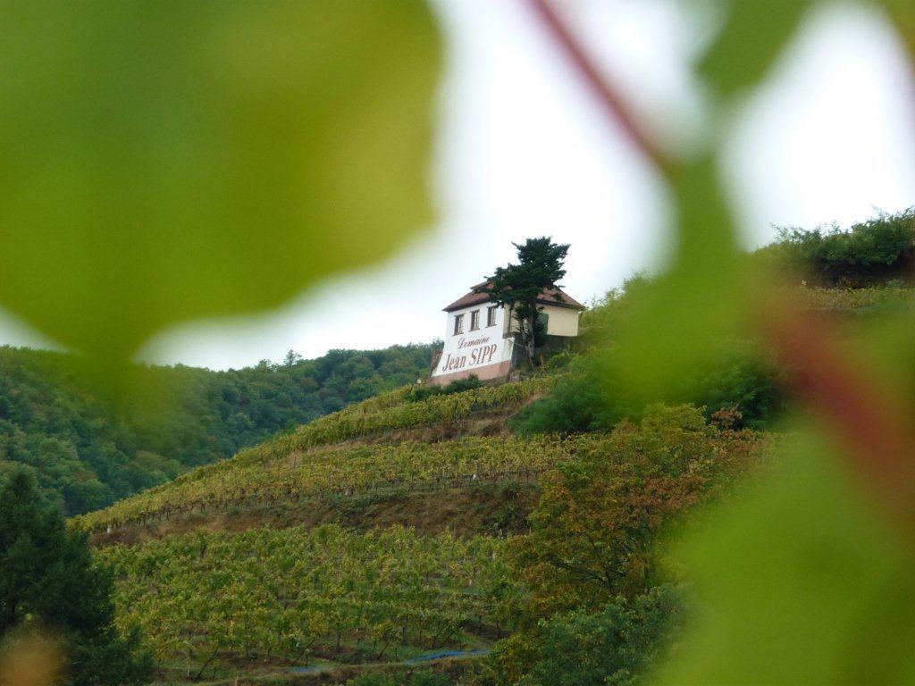 Domaine Jean Sipp Hotel Ribeauville  Exterior photo